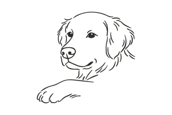 Download Cute Golden Retriever - Premium Resources